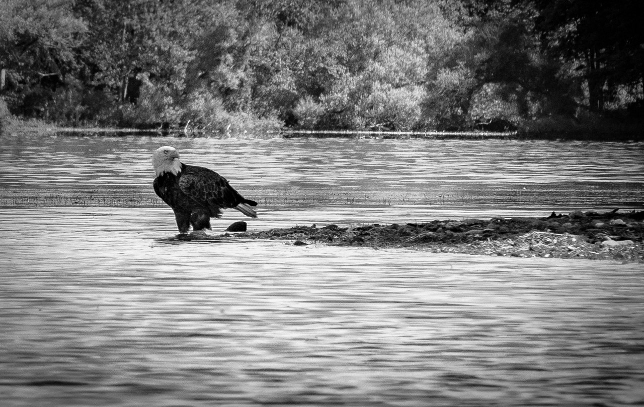 Town of Preble New York Photos